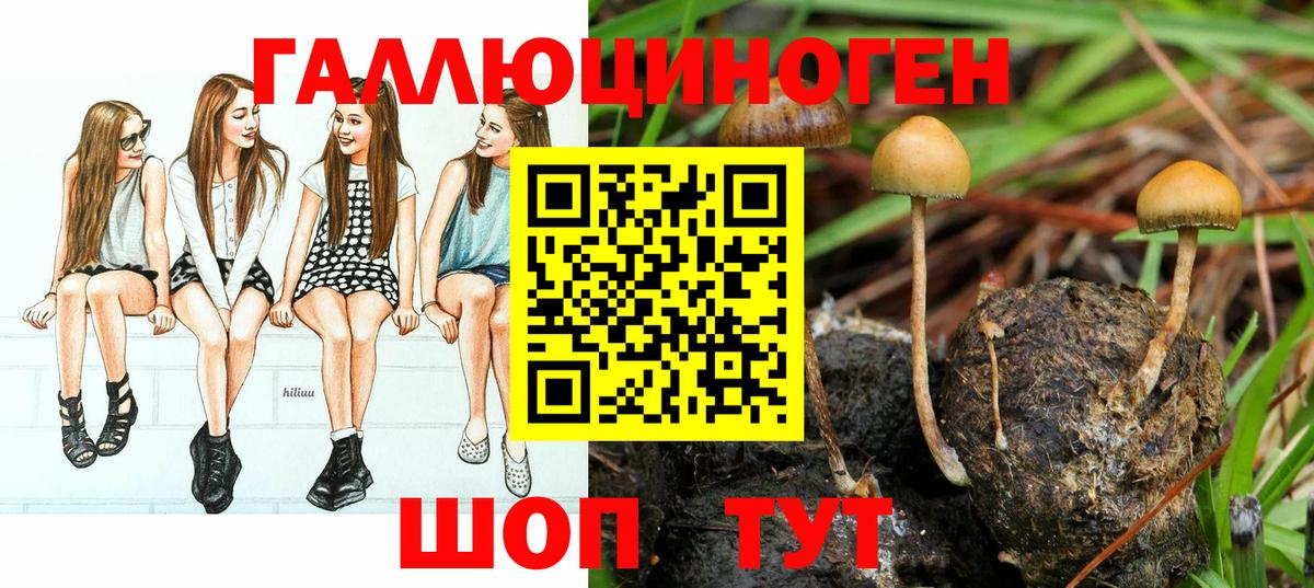 Галлюциногенные грибы мухоморы Искитим